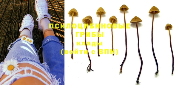 гашиш Зеленокумск