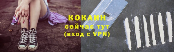 соль ск Зеленодольск
