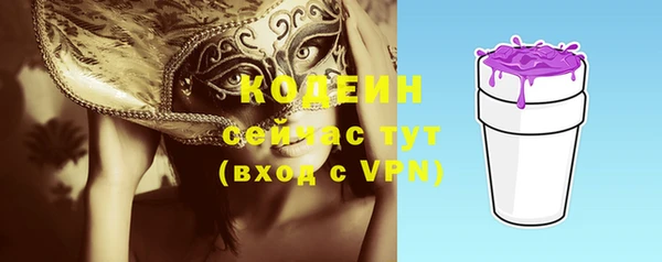 соль ск Зеленодольск