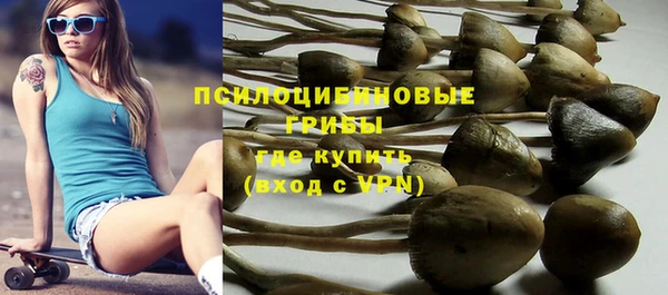 соль ск Зеленодольск