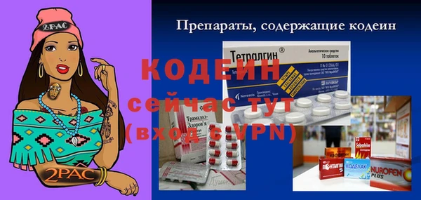 соль ск Зеленодольск