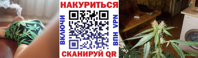 Купить закладки  Камбарка  Каннабис семена 